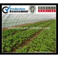proof greenhouse insect net factory